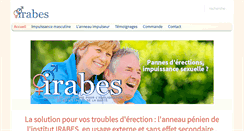 Desktop Screenshot of anneau-erection.com
