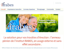 Tablet Screenshot of anneau-erection.com